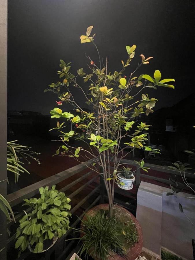Sunflower Homestay Хайфон Екстер'єр фото